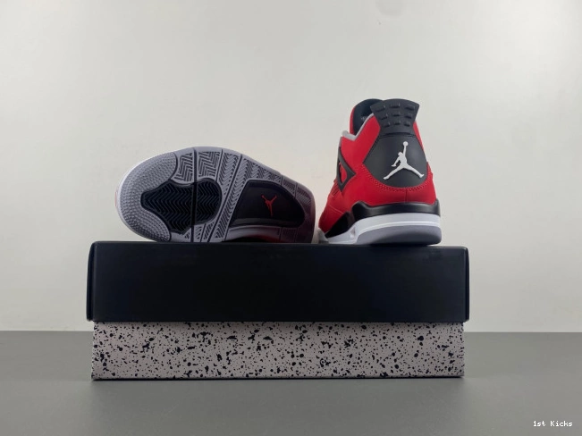 Retro Bravo Jordan Toro 4 308497-603 0622
